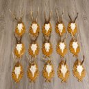 15 Stück Rehgeweihe auf geschnitzten Trophäenschilder Rehbock Reh Bock Geweihe #22.1044