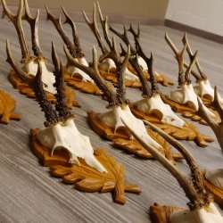 15 Stück Rehgeweihe auf geschnitzten Trophäenschilder Rehbock Reh Bock Geweihe #22.1044