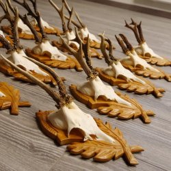 15 Stück Rehgeweihe auf geschnitzten Trophäenschilder Rehbock Reh Bock Geweihe #22.1044