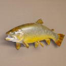Bachforelle Forelle Pr&auml;parat L&auml;nge 52 cm Fisch pr&auml;pariert #60.1.3.16